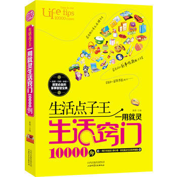 生活點子王:一用就靈生活竅門10000例 pdf epub mobi 電子書 下載