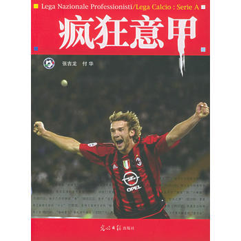 疯狂意甲 pdf epub mobi 电子书 下载