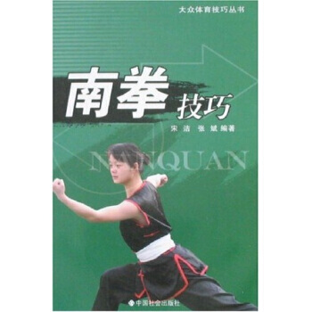 南拳技巧 pdf epub mobi 电子书 下载