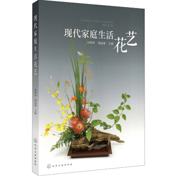 现代家庭生活花艺 pdf epub mobi 电子书 下载