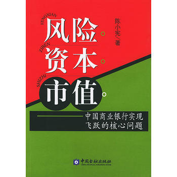 風險資本市值----中國商業銀行實現飛躍的核心問題 pdf epub mobi 電子書 下載