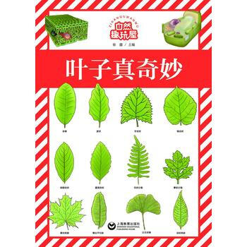 葉子真奇妙-自然趣玩屋 pdf epub mobi 電子書 下載