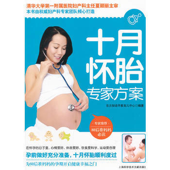 十月怀胎专家方案 pdf epub mobi 电子书 下载