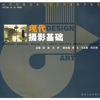 现代摄影基础/高等学校美术与设计专业教学丛书 张雄,王彬 9787543849297 pdf epub mobi 电子书 下载