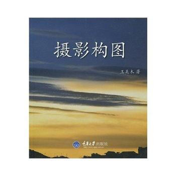 摄影构图 王美木 9787562451778 pdf epub mobi 电子书 下载