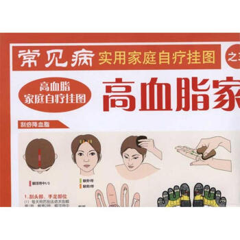 高血脂家庭自疗挂图/常见病实用家庭自疗挂图 pdf epub mobi 电子书 下载