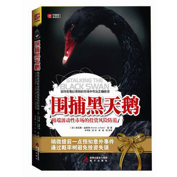 黑天鵝:如何在難以預知的市場中作齣正確投資 pdf epub mobi 電子書 下載