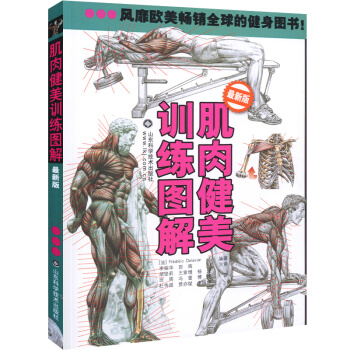 正版 肌肉健美訓練圖解 德拉威爾著 男性肌肉訓練型男健美圖詳解 肌腱精準拉伸肌肉塑造全書 健身書籍練