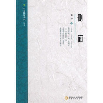 侧面 pdf epub mobi 电子书 下载