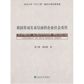 我國勞動關係層麵的企業社會責任 pdf epub mobi 電子書 下載