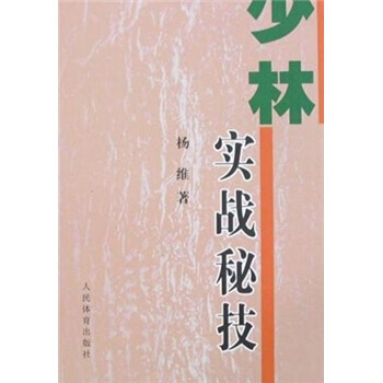 少林实战秘技 pdf epub mobi 电子书 下载