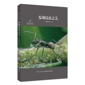 发现昆虫之美:1 9787535293862 pdf epub mobi 电子书 下载