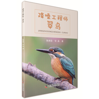 降噪工程師-翠鳥 科普讀物 書籍 pdf epub mobi 電子書 下載