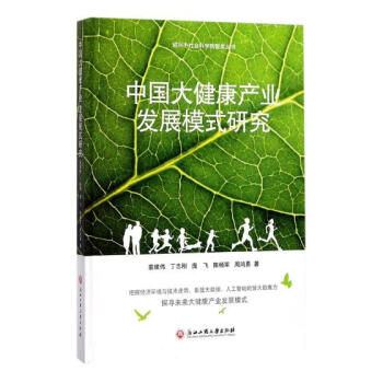 中国大健康产业发展模式研究 经济 书籍 pdf epub mobi 电子书 下载