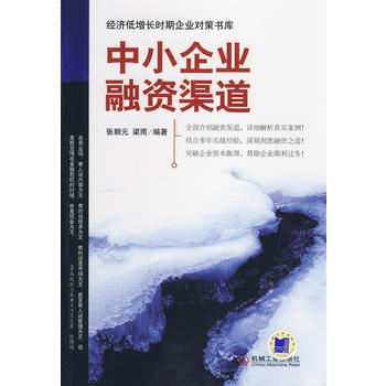 中小企業融資渠道 pdf epub mobi 電子書 下載