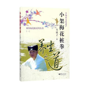 小架梅花桩拳—养生之道 体育/运动 书籍 pdf epub mobi 电子书 下载