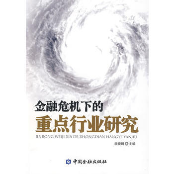 金融危机下的重点行业研究 pdf epub mobi 电子书 下载