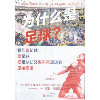 为什么是足球? pdf epub mobi 电子书 下载