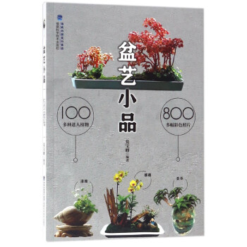 盆艺小品 pdf epub mobi 电子书 下载