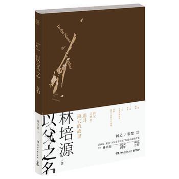以父之名 湖南文艺出版社 pdf epub mobi 电子书 下载