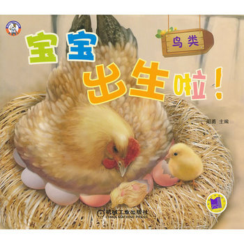 宝宝出生啦！鸟类 pdf epub mobi 电子书 下载