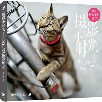 正版 摄影小时光—DSL私家摄影秘笈 丁三郎著 9787515312262 pdf epub mobi 电子书 下载