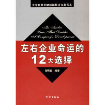 左右企业命运的12大选择 pdf epub mobi 电子书 下载