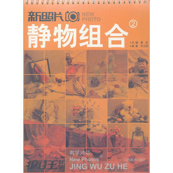 新照片 2 静物组合 pdf epub mobi 电子书 下载