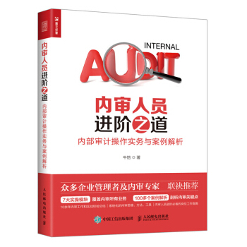 內審人員進階之道內部審計操作實務與案例解析 企業財務會計管理書 內控風控審計書籍 企業內部審計教程書 pdf epub mobi 電子書 下載