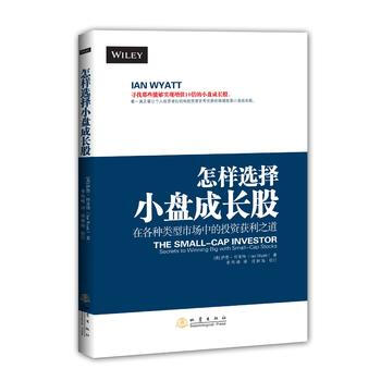 怎樣選擇小盤成長股 pdf epub mobi 電子書 下載
