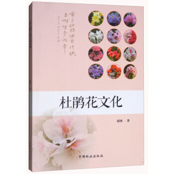 杜鹃花文化 9787503893452 赵冰-RT pdf epub mobi 电子书 下载
