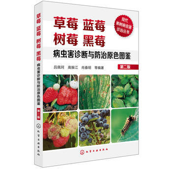现代果树病虫害诊治丛书--草莓蓝莓树莓黑莓病虫害诊断与防治原色图鉴(第二版) 吕佩珂,高振 pdf epub mobi 电子书 下载