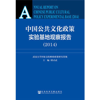 中国公共文化政策实验基地观察报告(2014) pdf epub mobi 电子书 下载