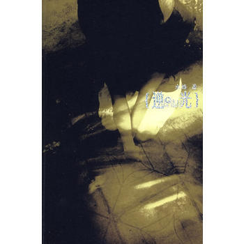 逆光 9787506341455 作家出版社 pdf epub mobi 电子书 下载