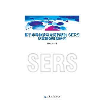 基于半导体涉及电荷转移的SERS及其增强机制研究 pdf epub mobi 电子书 下载