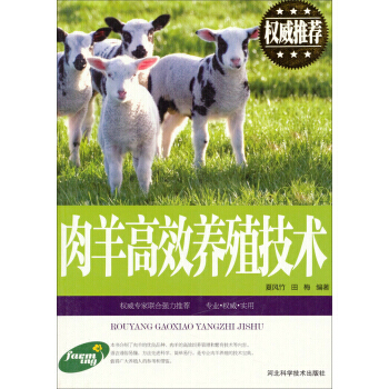 肉羊高效养殖技术 9787537565523 pdf epub mobi 电子书 下载