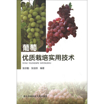 葡萄優質栽培實用技術 9787810927611