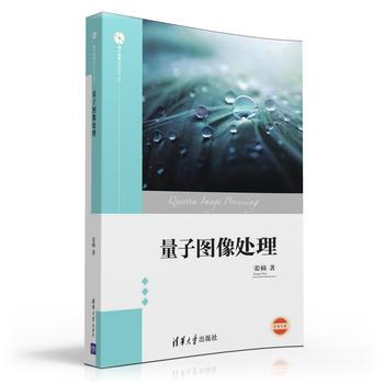 量子圖像處理 pdf epub mobi 電子書 下載