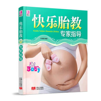 快乐胎教专家指导 pdf epub mobi 电子书 下载