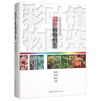 BF-彩叶植物图鉴-袁东升,李月松,周洪义 中国林业出版社 9787503880971 pdf epub mobi 电子书 下载