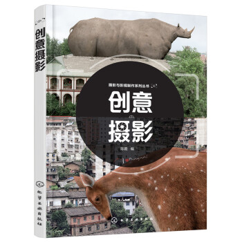 创意摄影 摄影 书籍 pdf epub mobi 电子书 下载