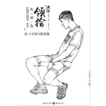 领绘大动态 王靖宇 pdf epub mobi 电子书 下载
