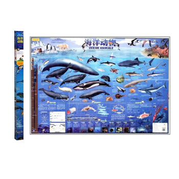 海洋動物 地圖 全國兒童讀物 兒童房專用掛圖 禮品盒裝啓濛地圖 兒童圖書 pdf epub mobi 電子書 下載