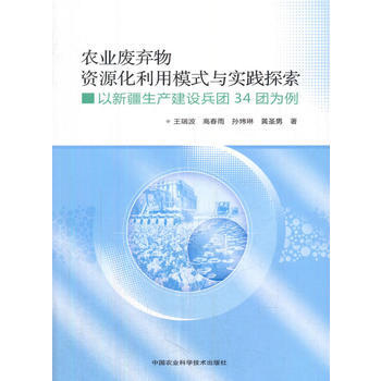 农业废弃物资源化利用模式与实践探索:以新疆生产建设兵团34团为例 978751163329 pdf epub mobi 电子书 下载