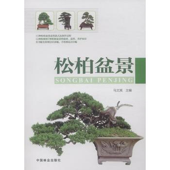 BF-松柏盆景-马文其 中国林业出版社 9787503873461 pdf epub mobi 电子书 下载