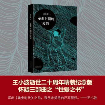 革命時期的愛情 王小波 pdf epub mobi 電子書 下載
