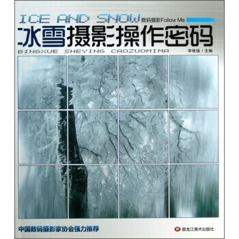 数码摄影Follow Me：冰雪摄影操作密码 pdf epub mobi 电子书 下载