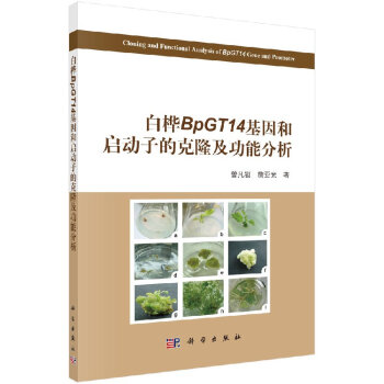 白桦BpGT14 基因和启动子的克隆及功能分析 pdf epub mobi 电子书 下载