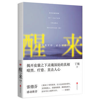 BF-醒来.凡真实的.必会相遇-丁锐 北京联合出版公司 9787550293830 pdf epub mobi 电子书 下载