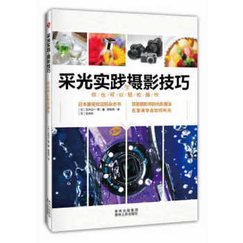 WL-采光实践与摄影技巧:你也可以轻松操作-(日) 玉内公一等著 贵州人民出版社 9787 pdf epub mobi 电子书 下载